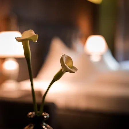 Boutique Mandarfnerhof Hotel St. Leonhard im Pitztal