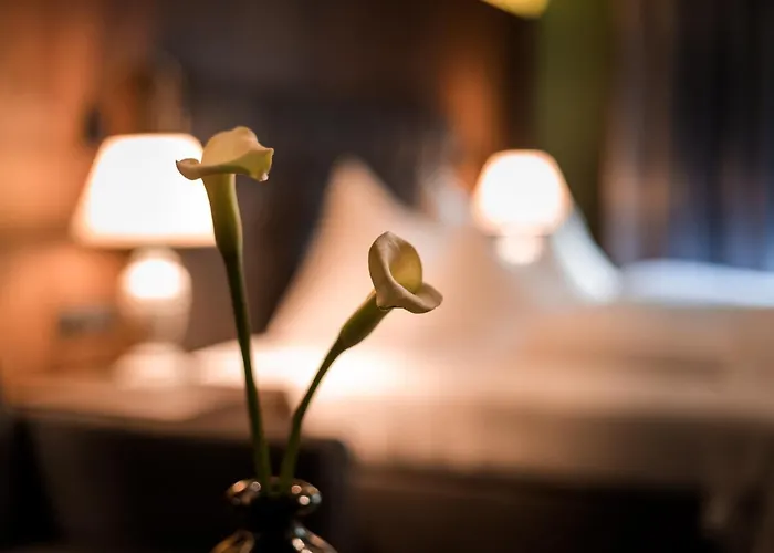 Boutique Mandarfnerhof Hotel St. Leonhard im Pitztal